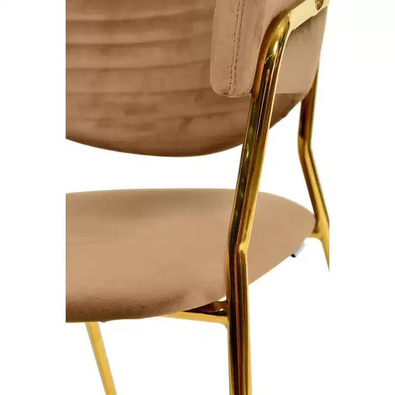 LeisureMod Dining Chair Upholstered in Leather & Velvet, Ergonomic Padded Seat & Back, Durable Stainless Steel Base  Bella Series Accent Armchair